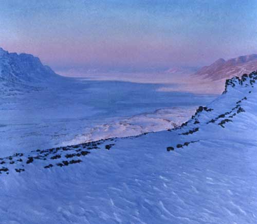David Rosenthal Oil Painting Cordova Alaska, Anuktuvuk Pass Evening Brooks Range image